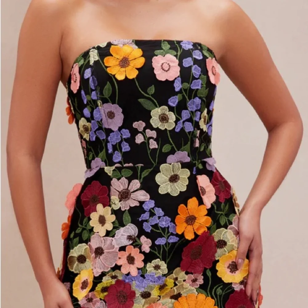 Marcella Embroidered A-Line Mini Dress - Black/combo - Picture 3 of 8